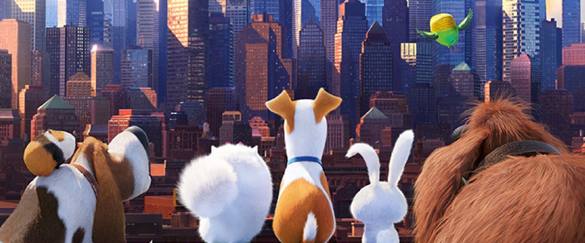 https://universalproductsexperiences.films.apps.nbcuni.com/storage/life-of-pets-banner-598e2c6084f78.jpeg